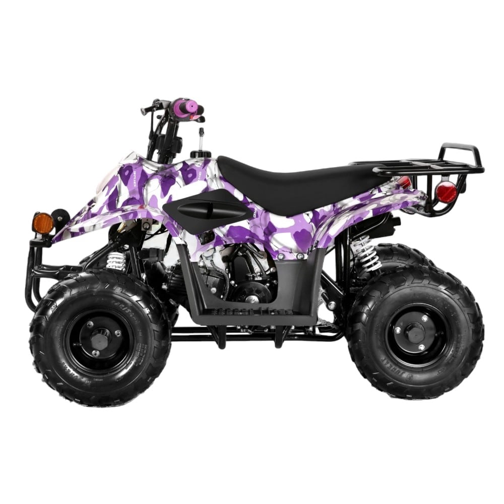 (image for) Coolster 110cc Fully Automatic Kids Mini ATV 3050C