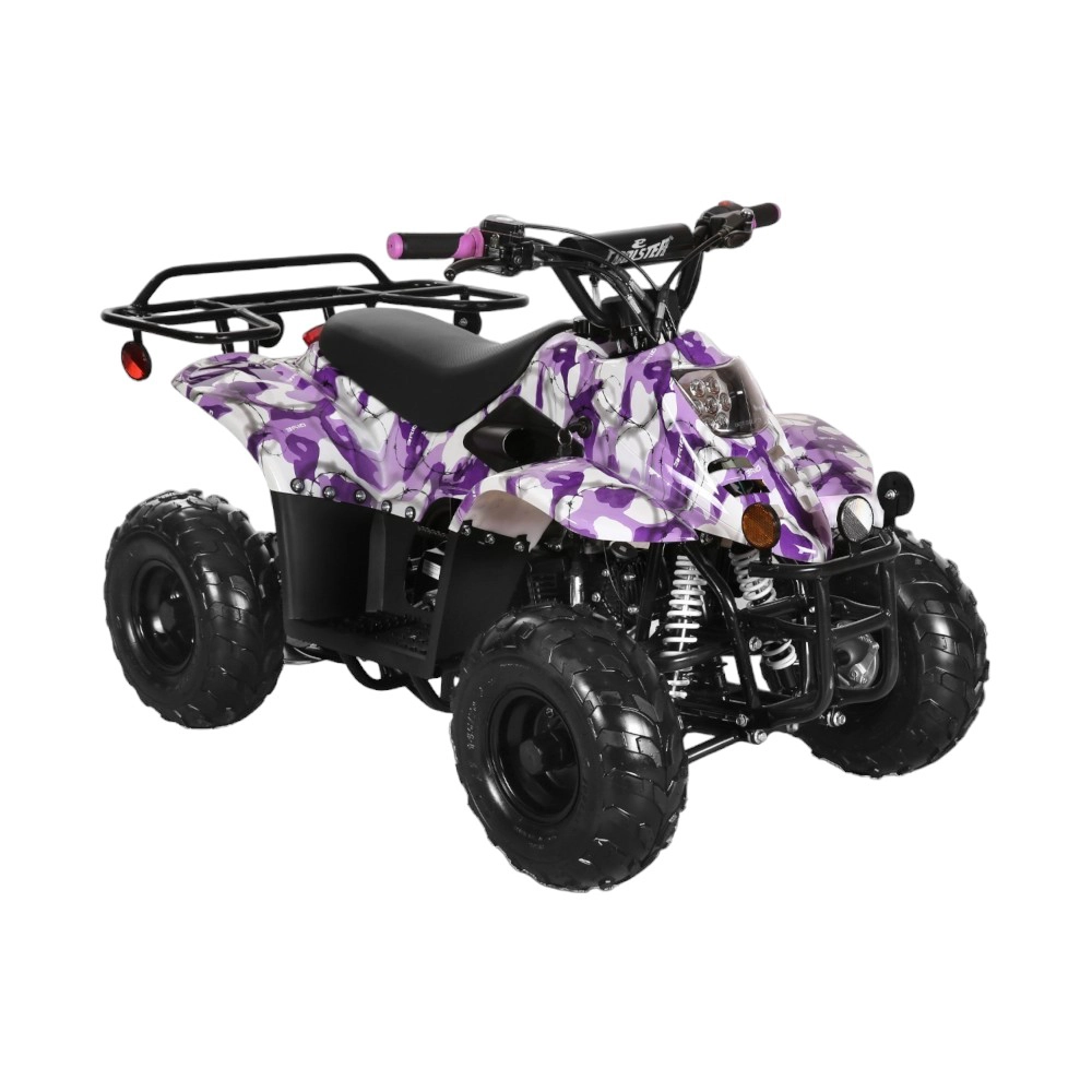 (image for) Coolster 110cc Fully Automatic Kids Mini ATV 3050C