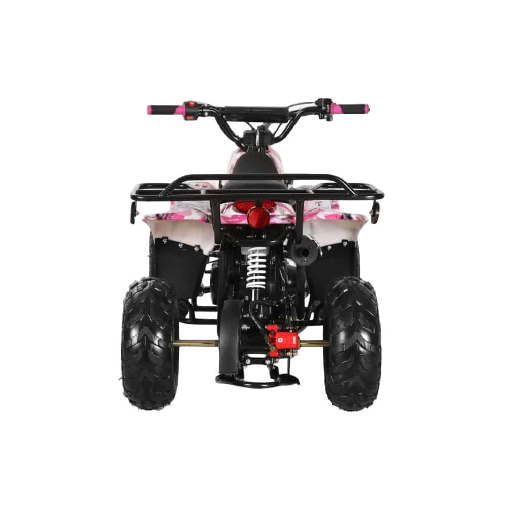 (image for) Coolster 110cc Fully Automatic Kids Mini ATV 3050C
