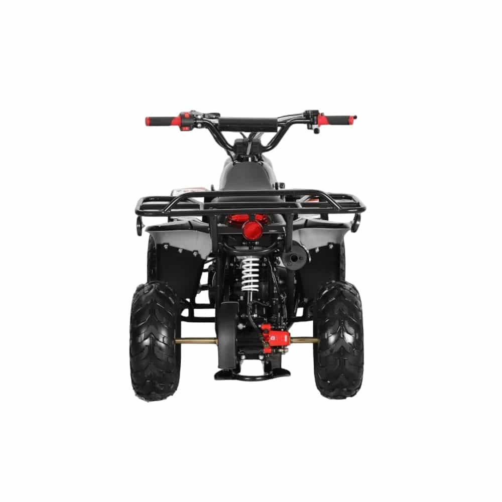 (image for) Coolster 110cc Fully Automatic Kids Mini ATV 3050C