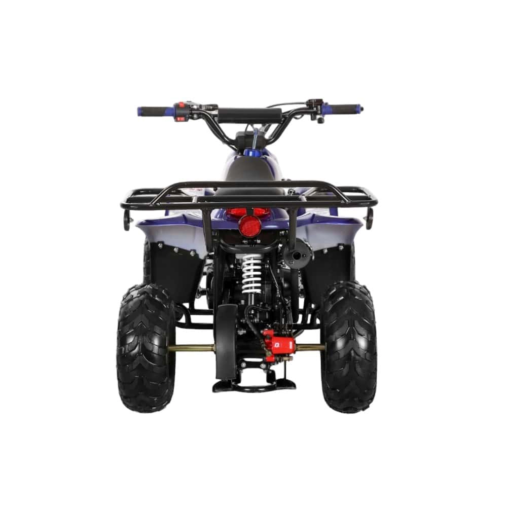(image for) Coolster 110cc Fully Automatic Kids Mini ATV 3050C