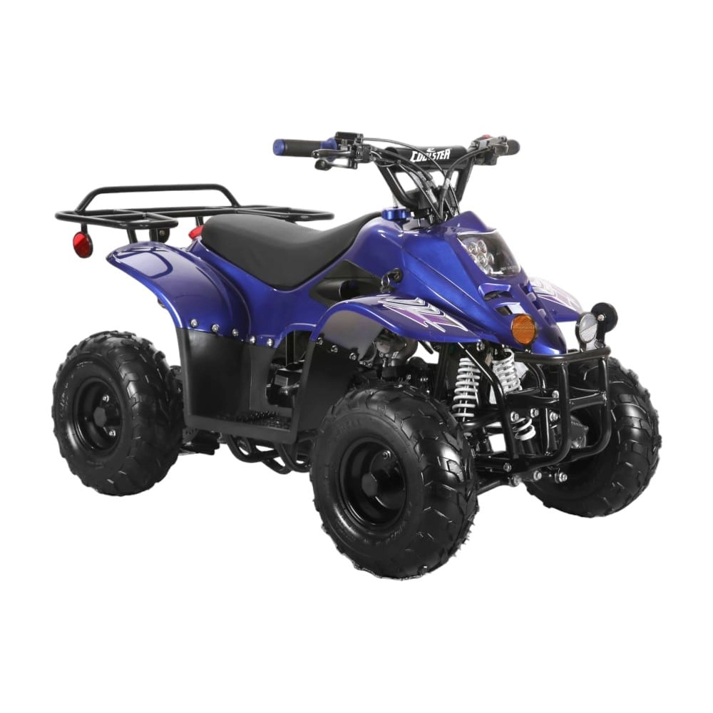 (image for) Coolster 110cc Fully Automatic Kids Mini ATV 3050C