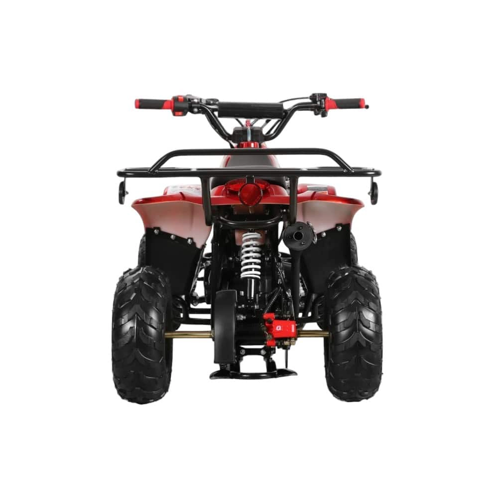 (image for) Coolster 110cc Fully Automatic Kids Mini ATV 3050C