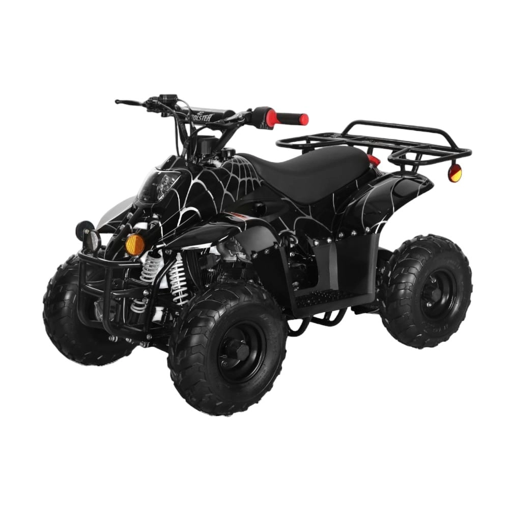 (image for) Coolster 110cc Fully Automatic Kids Mini ATV 3050C