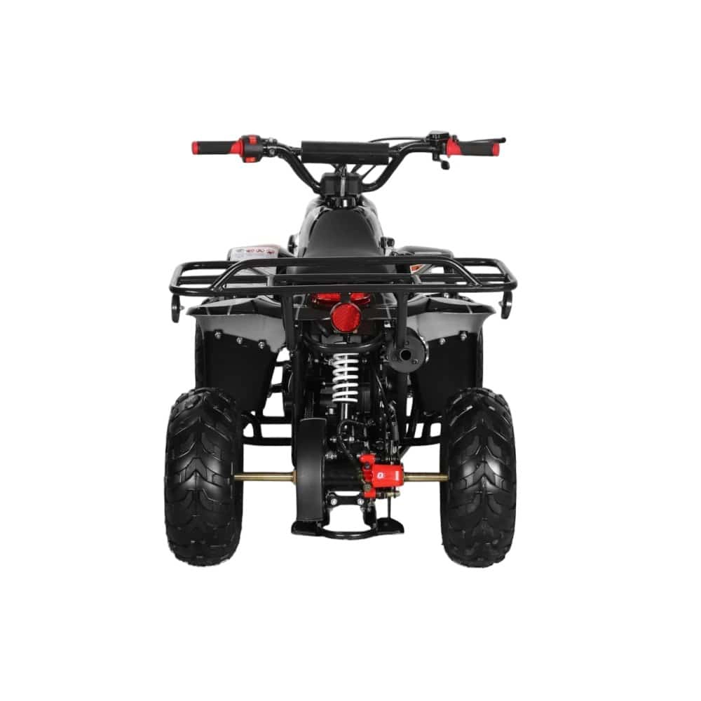 (image for) Coolster 110cc Fully Automatic Kids Mini ATV 3050C