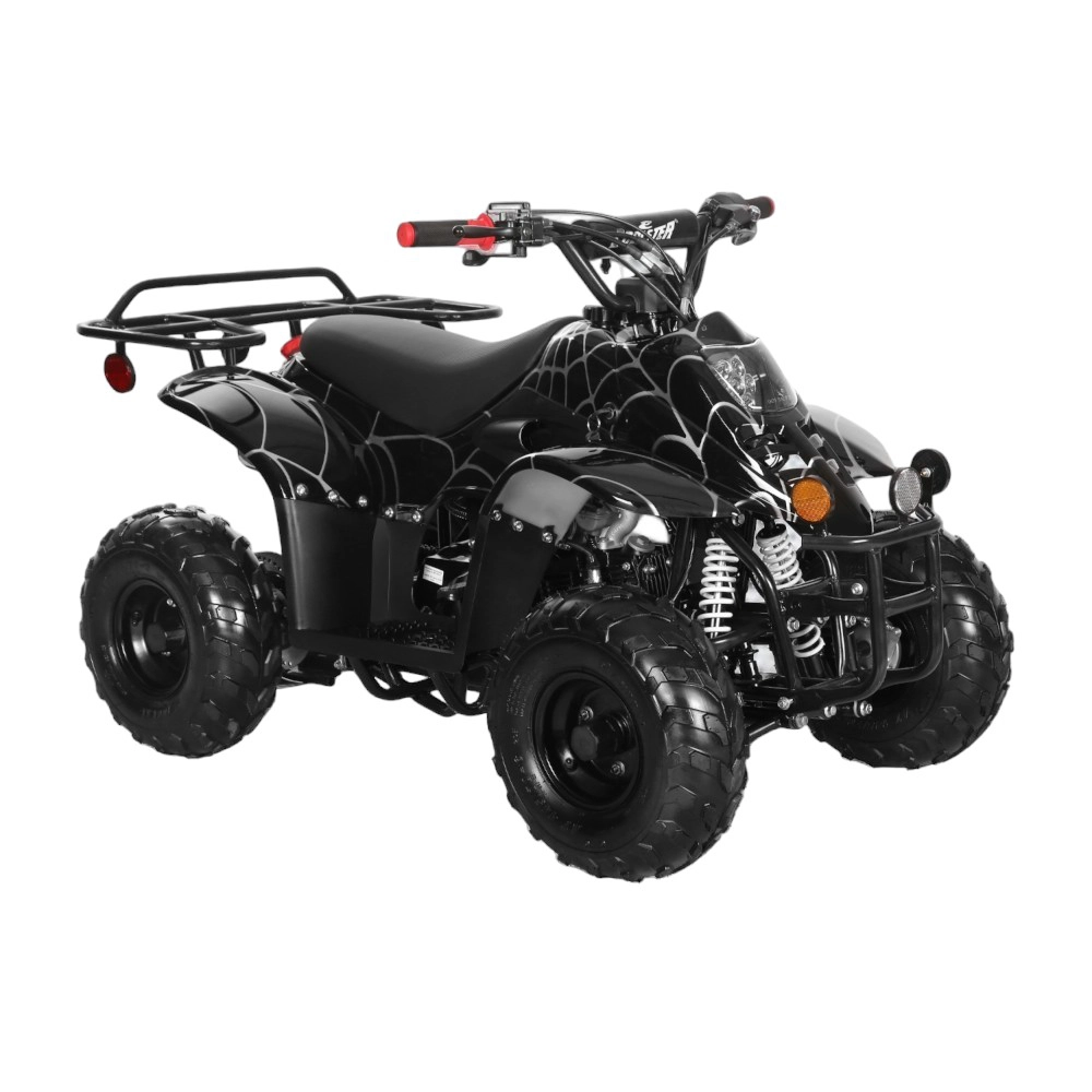 (image for) Coolster 110cc Fully Automatic Kids Mini ATV 3050C