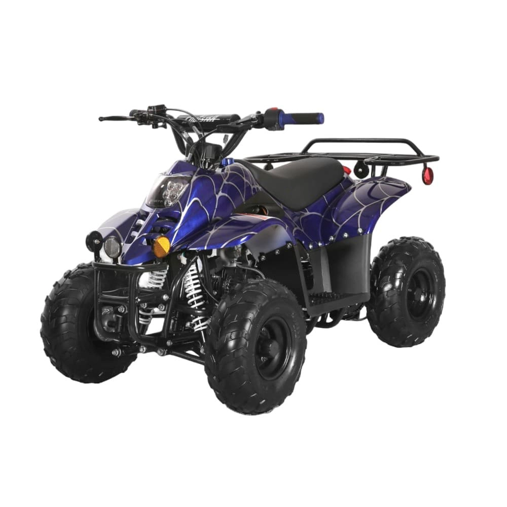 (image for) Coolster 110cc Fully Automatic Kids Mini ATV 3050C