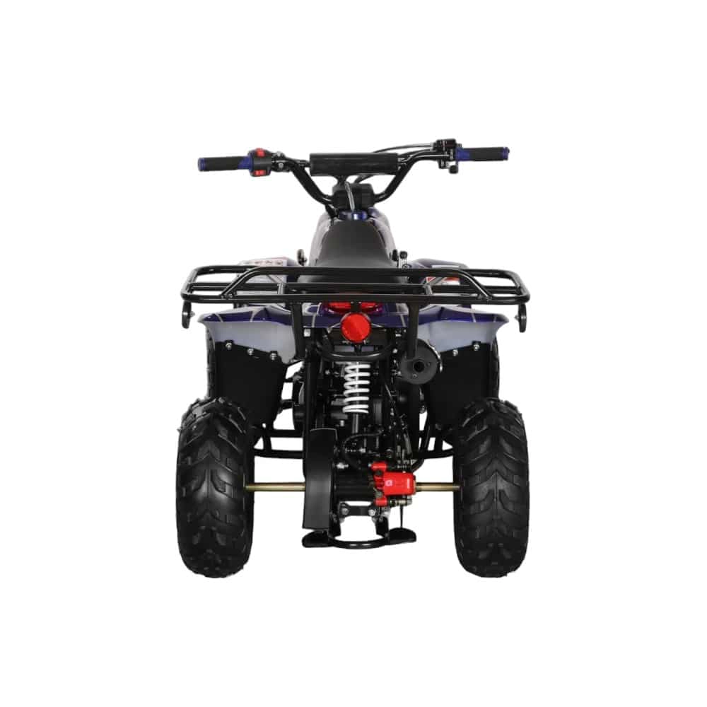 (image for) Coolster 110cc Fully Automatic Kids Mini ATV 3050C