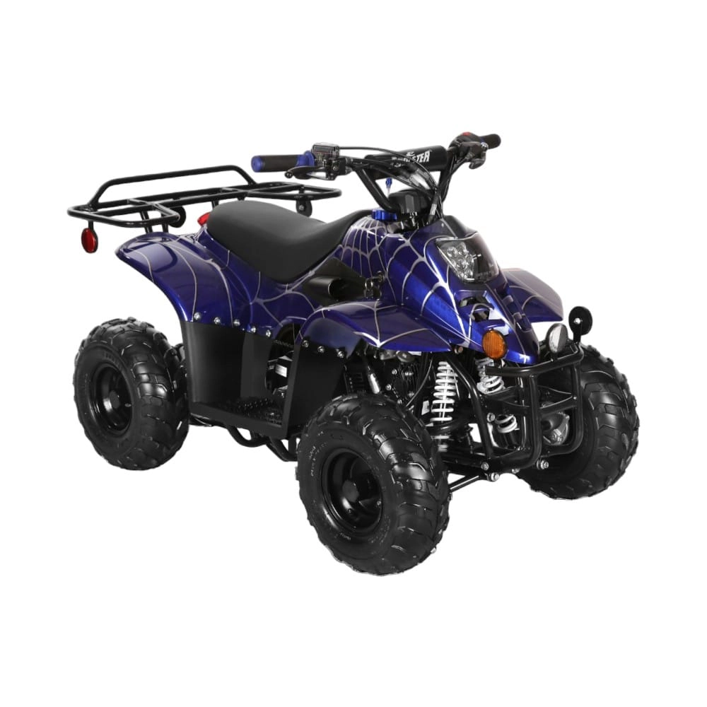 (image for) Coolster 110cc Fully Automatic Kids Mini ATV 3050C