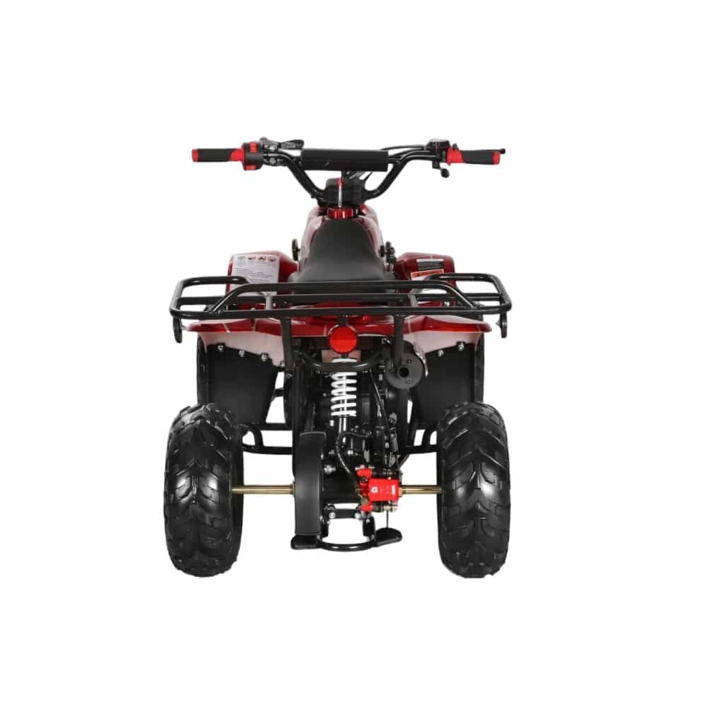 (image for) Coolster 110cc Fully Automatic Kids Mini ATV 3050C